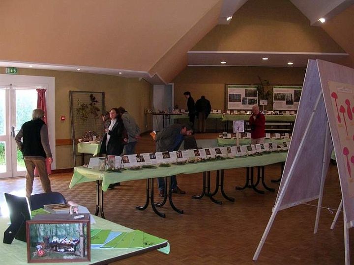 Expo champignons a St Leger 44